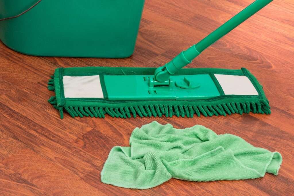 mop, bucket, chores-2736400.jpg